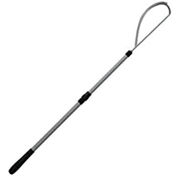 Silverstar Kakıç